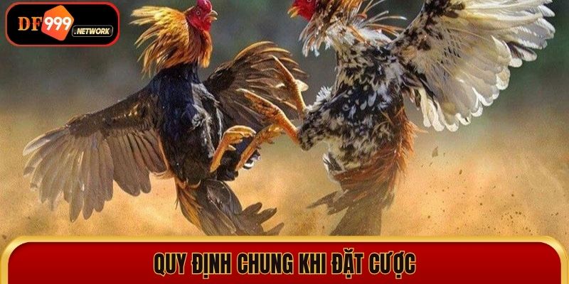 Đá gà nòi - Đỉnh cao của chiến đấu tại Df999