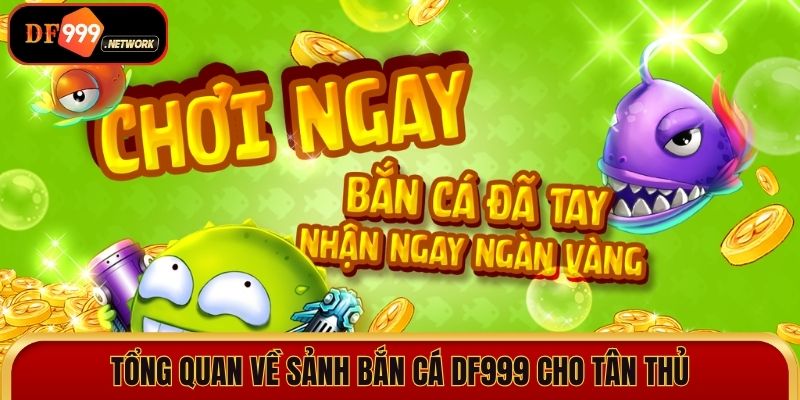 Tổng quan về sảnh bắn cá DF999 cho tân thủ