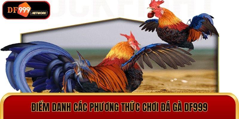 Điểm danh các phương thức chơi đá gà DF999