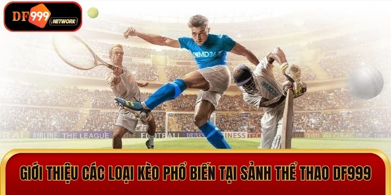 Giới thiệu các loại kèo phổ biến tại sảnh thể thao DF999