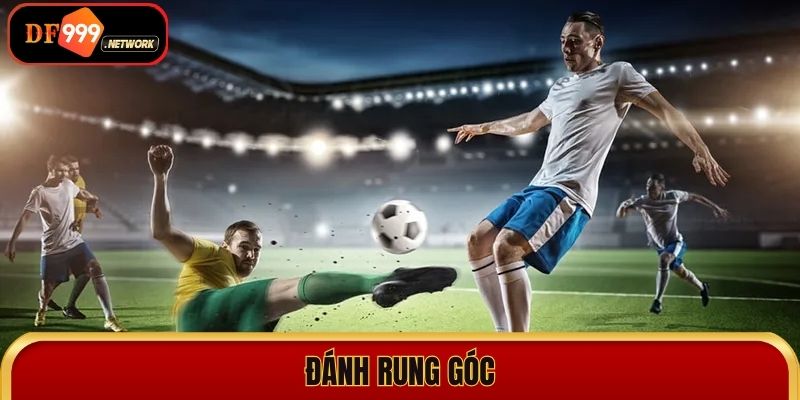 Tìm hiểu kèo rung là gì và cách tận dụng kèo cược