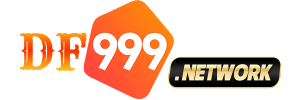 df999.network-600x200