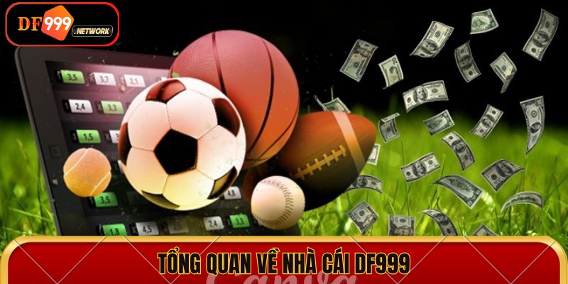 Tổng quan về nhà cái DF999